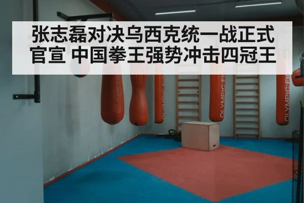Oleksandr Usyk boxing