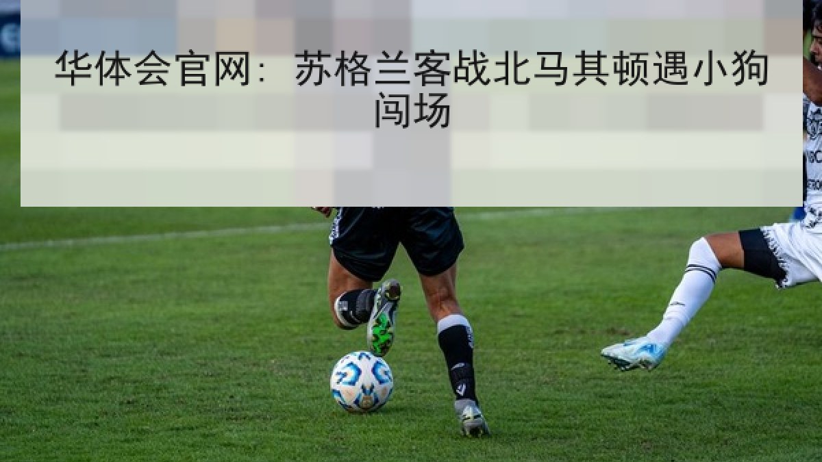 华体会官网: 苏格兰客战北马其顿遇小狗闯场